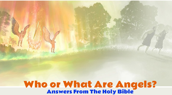 Who are Angels? Answers from the Holy Bible